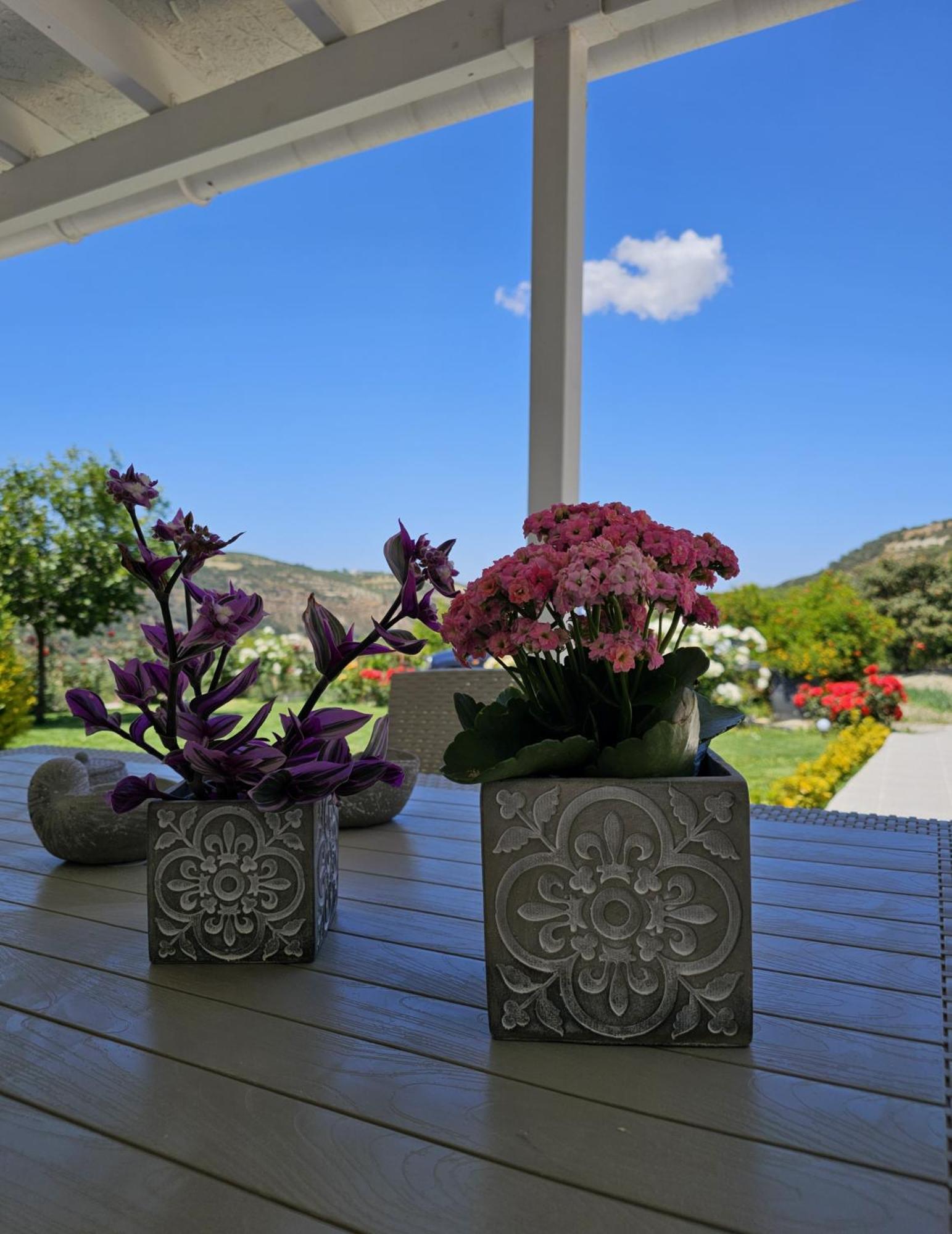 Ornament: Infinite Nature Villa Dhafnes Exterior foto